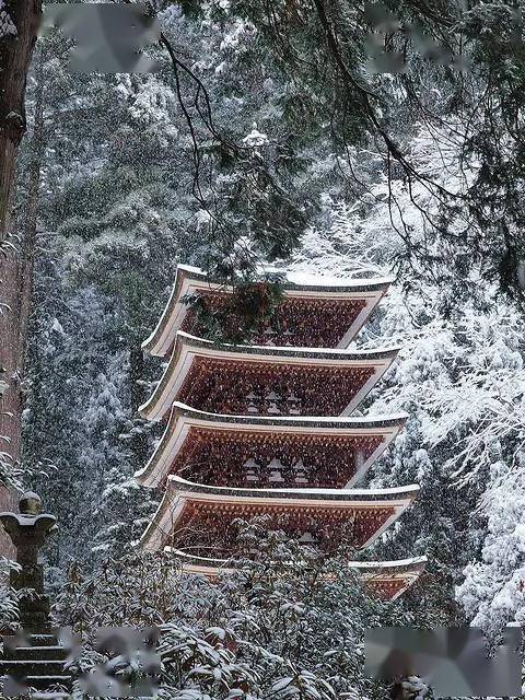 日本奈良县五重塔.