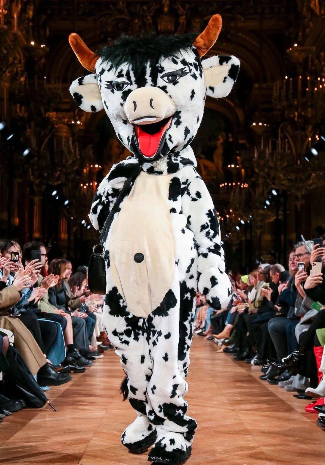 特邀可爱的小动物们来参加走秀突破常规的幻想所以你会做什么来拯救