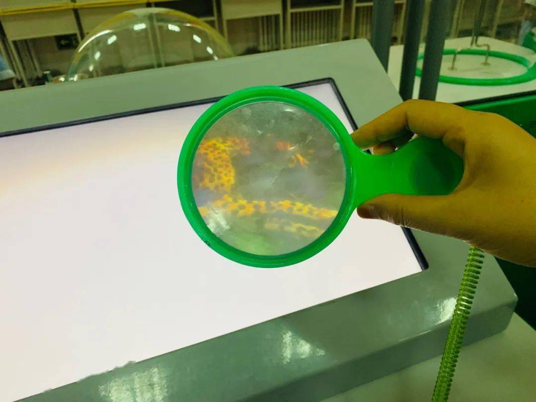 这个联动装置最壮观,也最好玩,孩子们跟着滚动的小球,跑了一圈又一圈