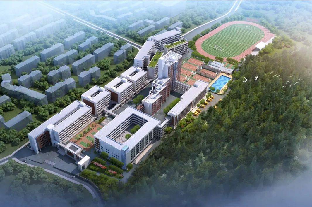 多学科年薪可达30w龙川第一实验学校2020年秋季教师招聘公告