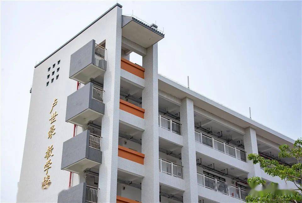 安堂小学:百年风雨,期盼蜕变之日