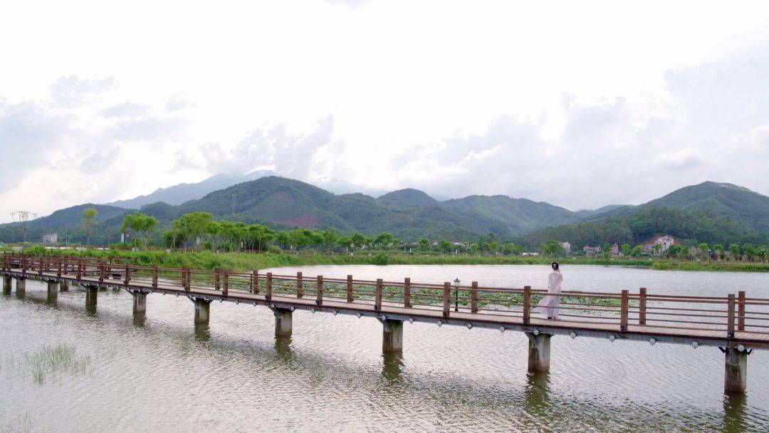 上良村湖边分布了行人步道及湿地公园观景栈道既可以悠闲漫步,又可以