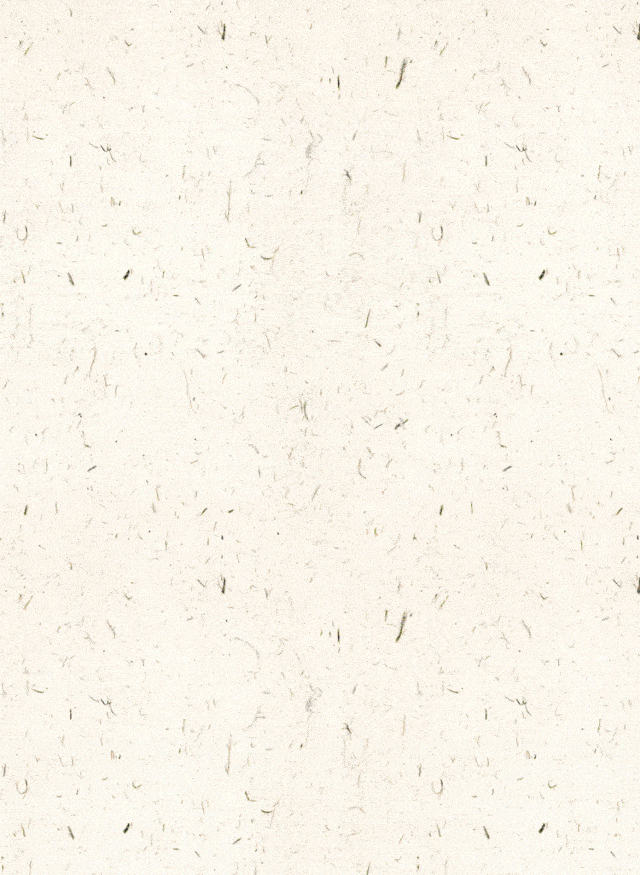 640_875竖版 竖屏gif 动态图 动图