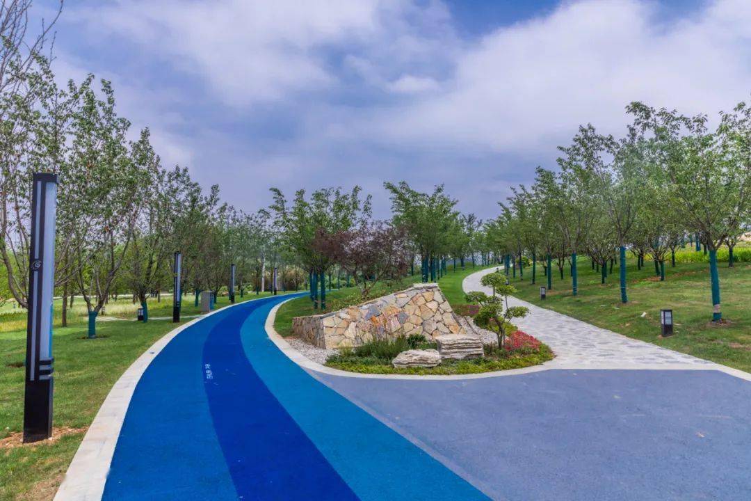 你去过没溧阳樱花公园成新晋网红打卡地