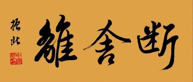 头条小说菩提断舍离