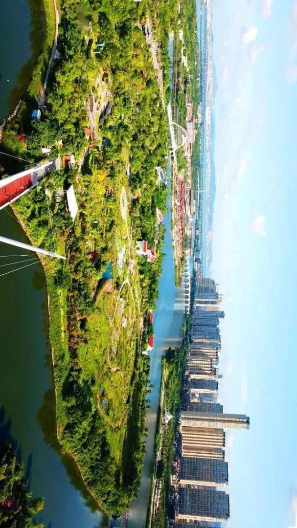 幸福河 家乡水⑧|厦门杏林湾:湿地变"绿肺",白鹭伴湖飞