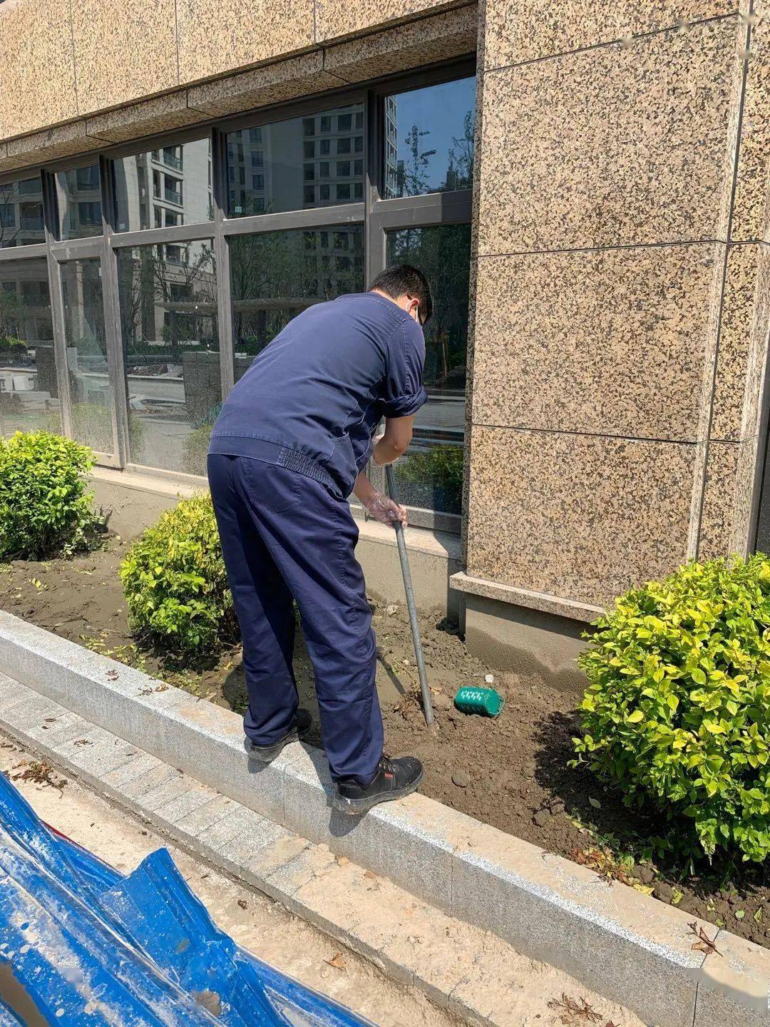 加强白蚁防治助力大江东项目建设完成监测控制装置埋设1000余套