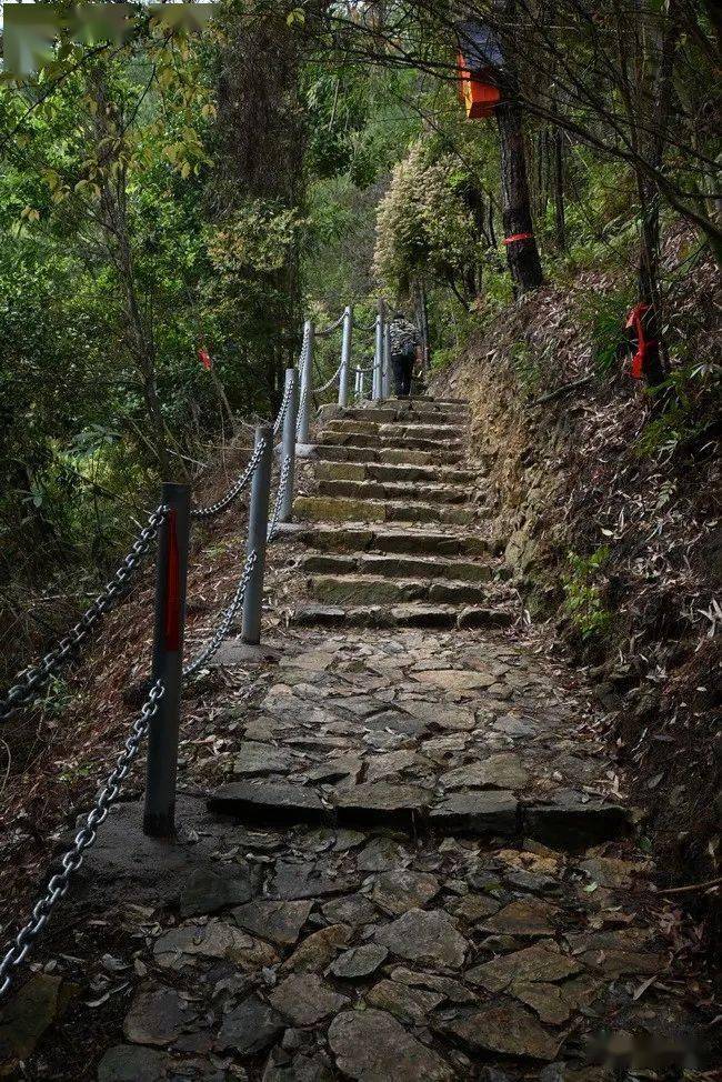 新晋网红打卡地尤溪仙手桥