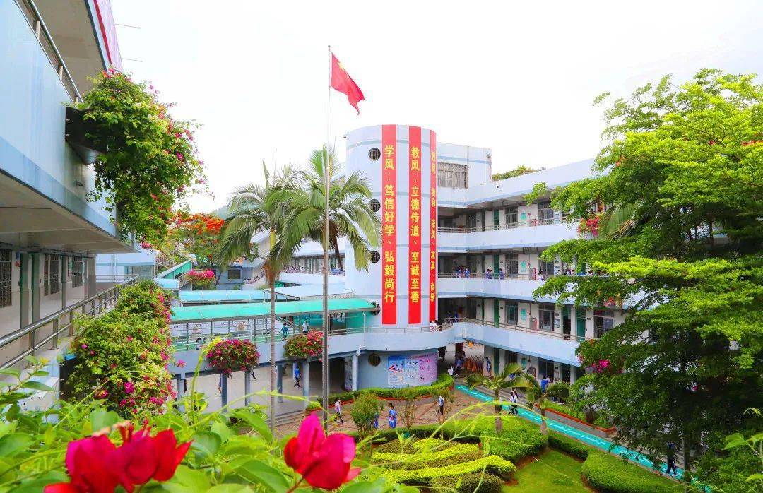 夏日布中,多彩校园一抬眼,遇见猝不及防的美丽漫步校园布心中学拍摄