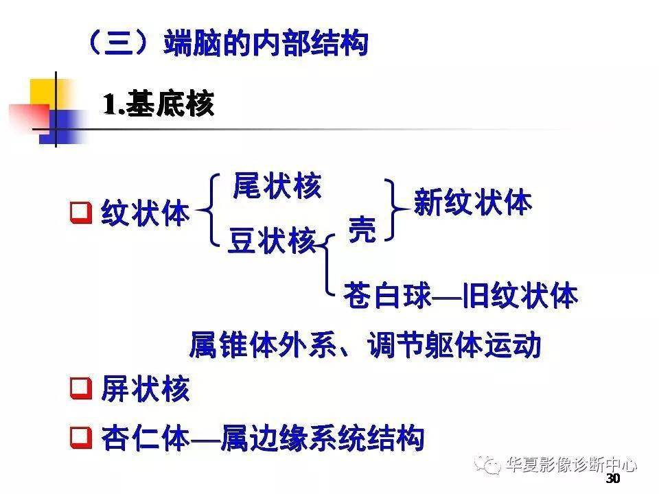 髓質中又有灰質團塊即基底核,紋狀體是其中的主要部分.