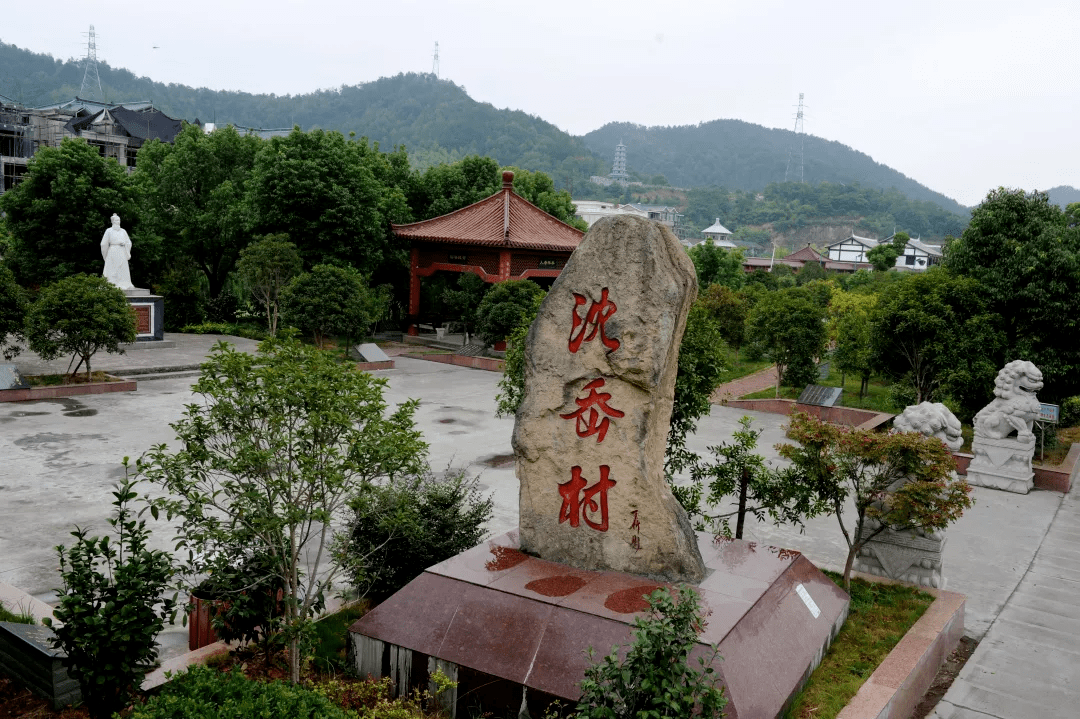 大溪镇党代表组团式专题服务为美丽乡村建设出金点子