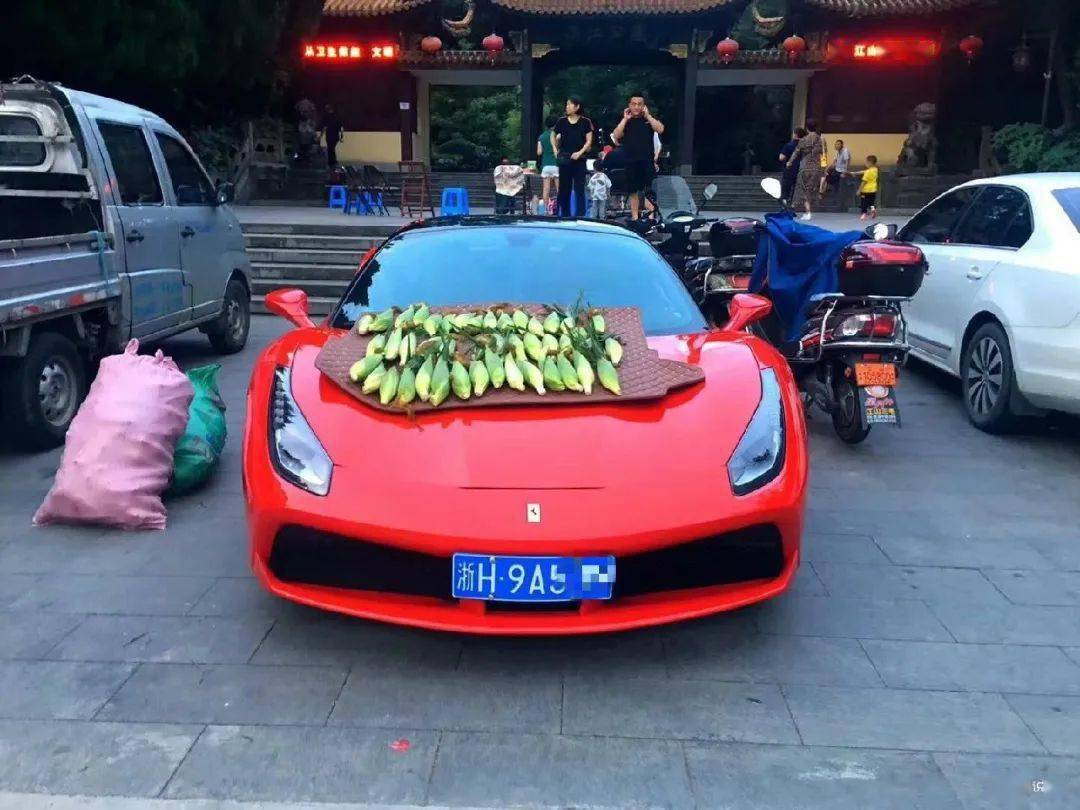 衢州一土豪开法拉利卖玉米这地摊太抢镜了