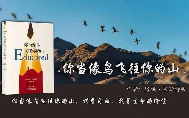 你当像鸟飞往你的山一个生活在原生家庭却成功逆袭的女人