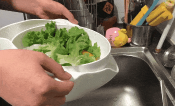 9元!这款网红洗菜盆火遍了朋友圈!