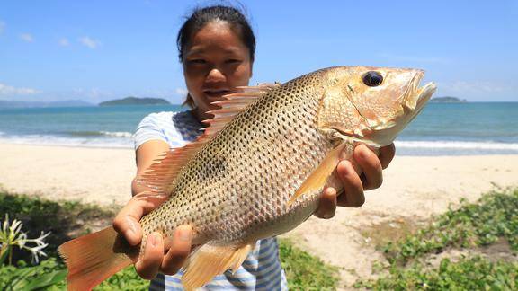 小渔钓到大牙点鱼,放弃传统做法用来烤海鲜鱼片,摄影师都流口水