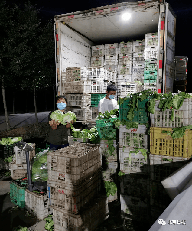 报名通道 | 最热活动~美术,舞蹈,拼音