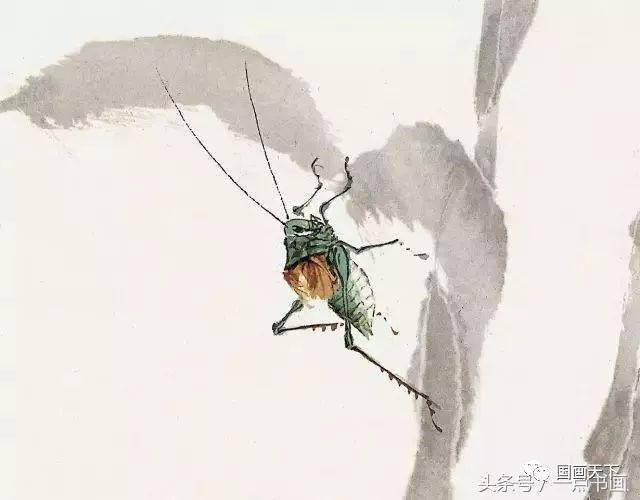 雕虫小技萧朗写意草虫集锦