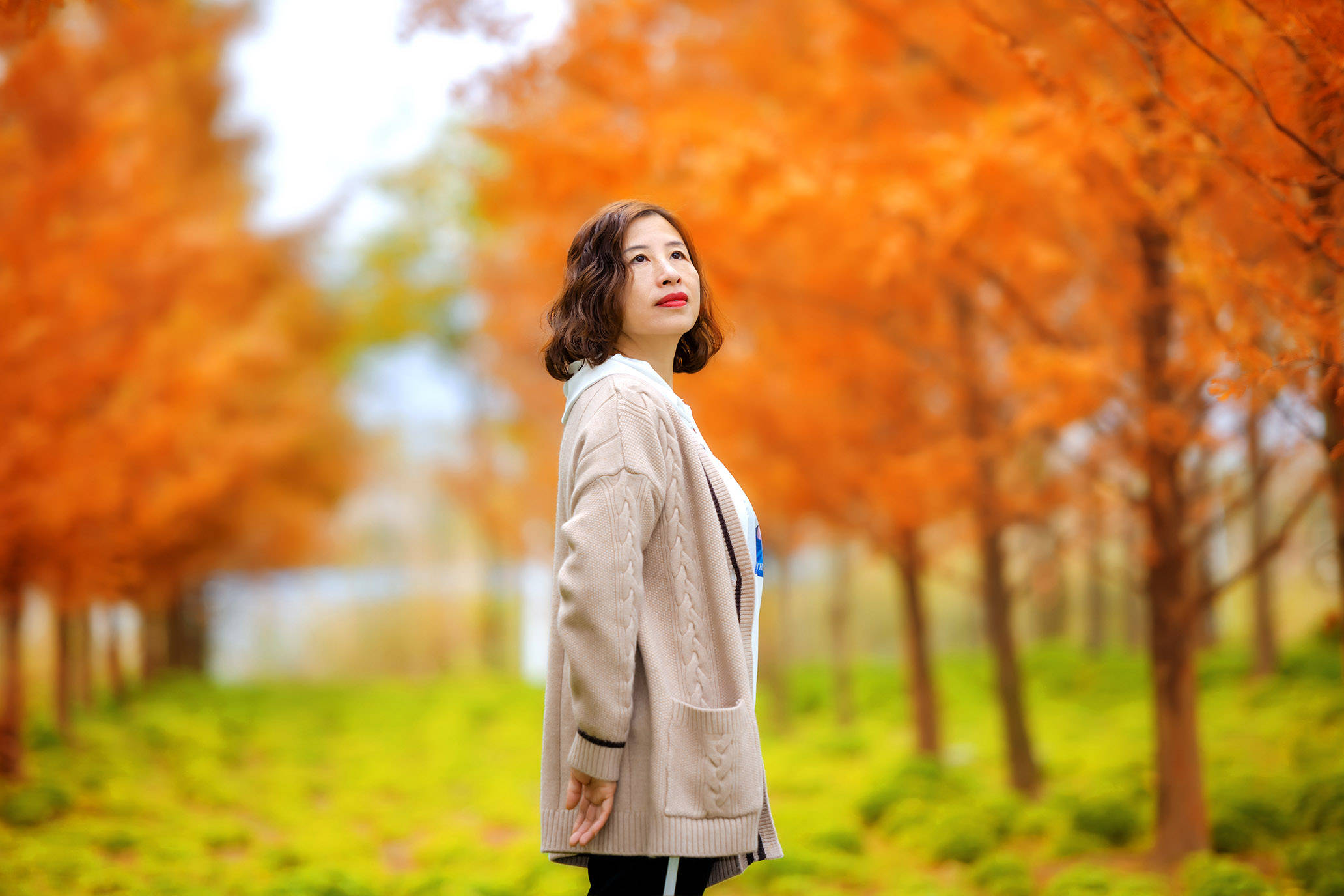 一年就要过去了,放弃压力,享受人生吧