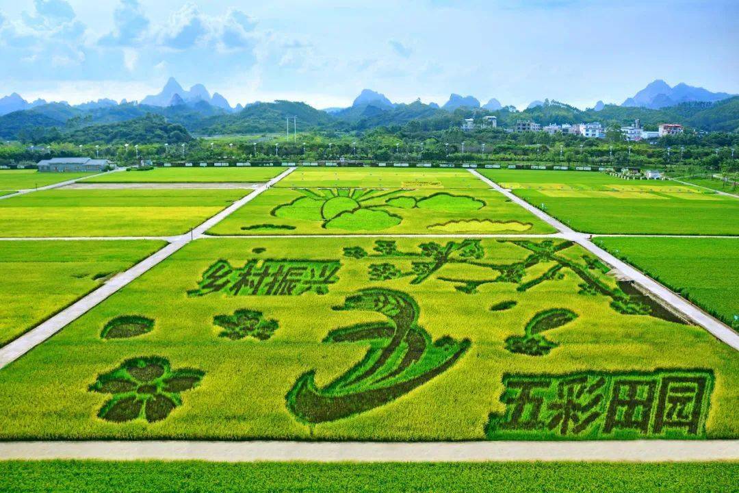 发展乡村旅游,而规划设计的超大型景观项目,中农富玉致