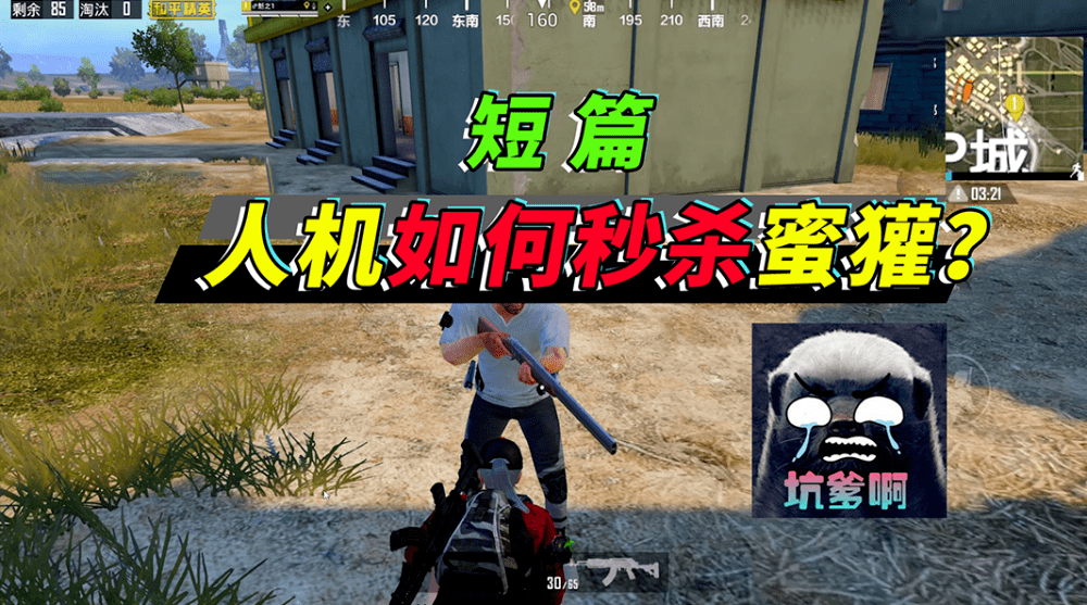 突击手蜜獾正式露脸,载具贴膜第一人,水友赛更是有趣