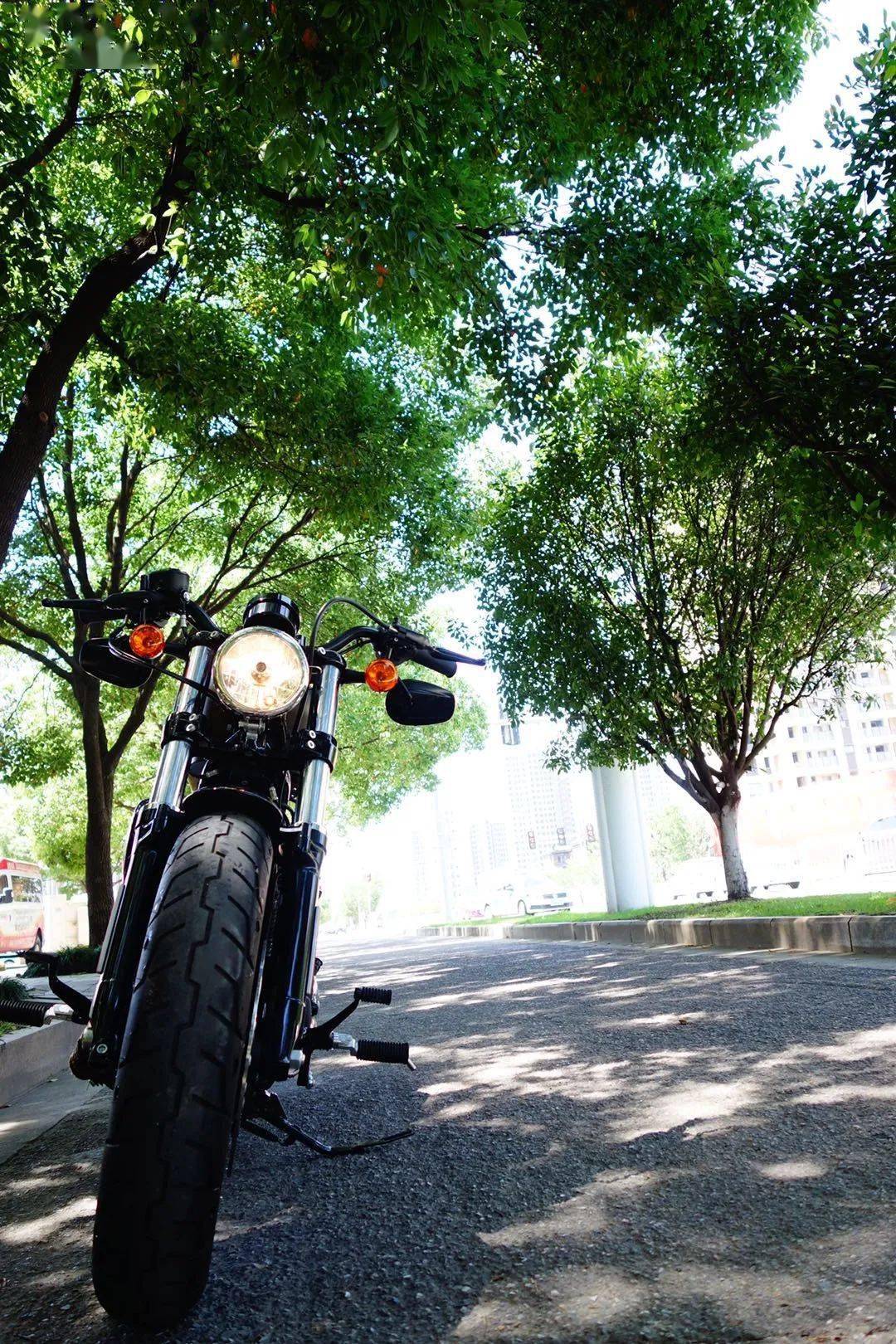 转让浙江2020款哈雷x48