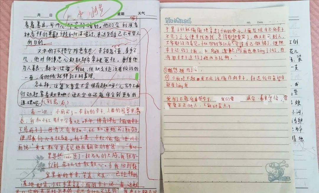 小学生疑因作文被批"传递负能量"后坠亡,官方回应