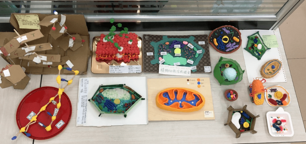 实践出新知让生物课堂活起来高一生物组成功举办生物模型制作大赛