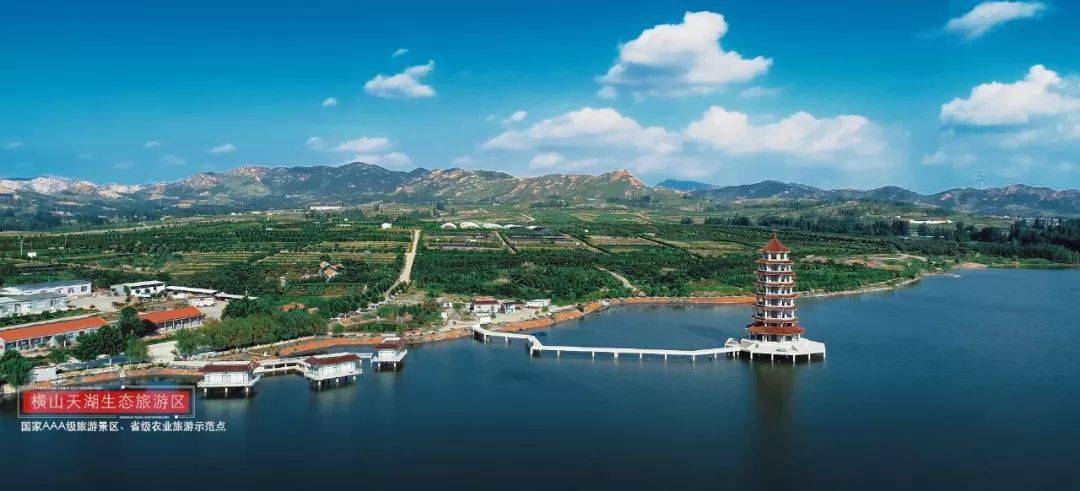 采摘地址:莒县小店镇驻地东1000米(横山天湖生态旅游区)采摘日期:即日