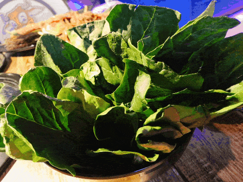 土豆片,菠菜,沙拉都很不错