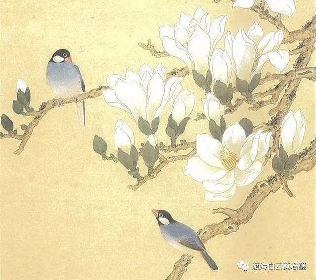 玉兰双鸟画坛宗师黄君璧先生别具一格的工笔花鸟