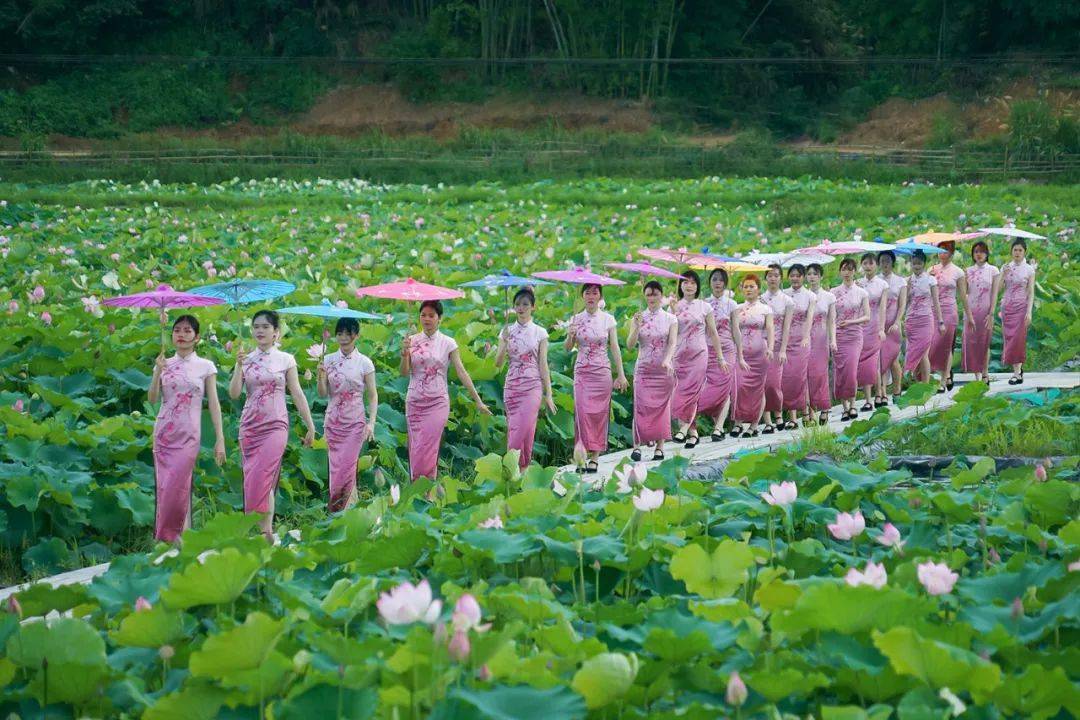 赏花看戏赶集新丰非遗分会场荷你相约