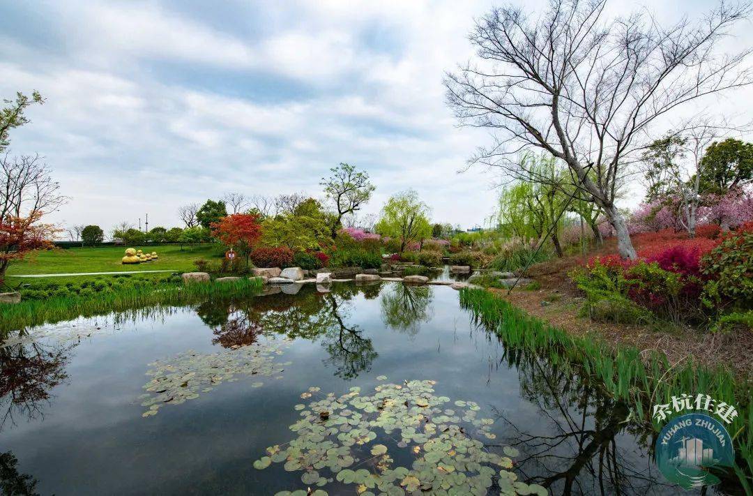 临平这些超美水景,在你家边上吗?_公园