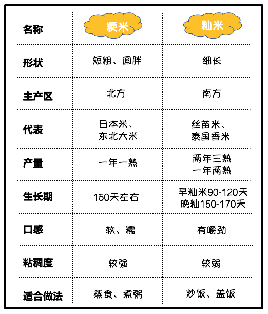 饭圈冷知识 | 吃饭的人很多,真正懂米的却很少_大米
