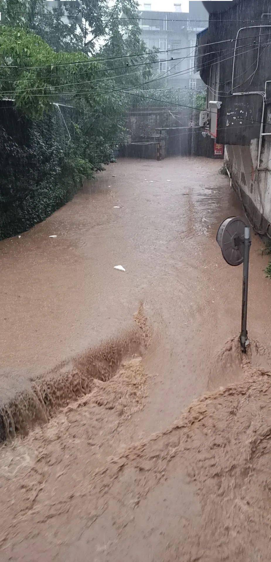 预计16日20时到17日20时,旺苍县,苍溪县的部分地方有大雨到暴雨,个别