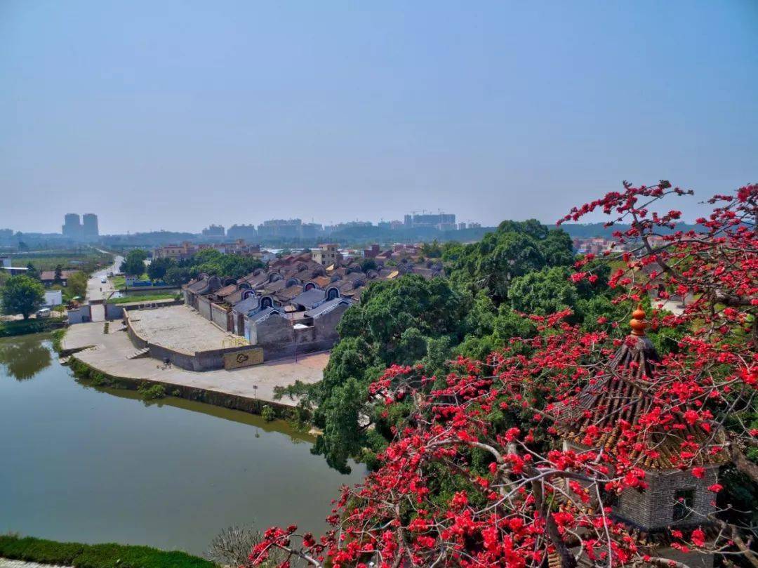 乡村振兴之桥 | 行广府,冇辛苦!三水乐平这座百年古桥值得你走一走