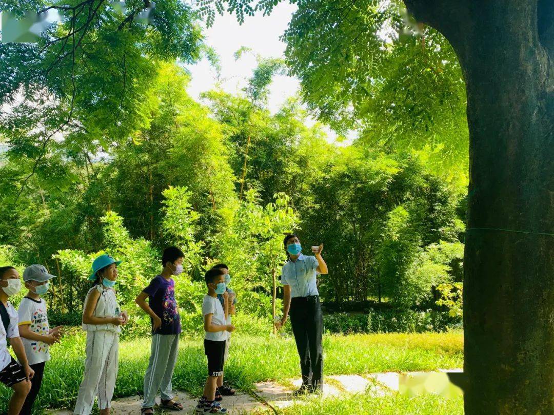 愛一處溼地護一片綠意星湖國家溼地公園科普教育基地生態科普活動順利