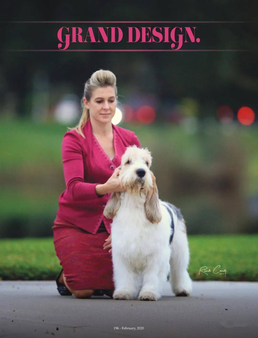 每日一王者clancy越战越勇的美国akc大巴塞特格里芬旺代犬no1猎犬组