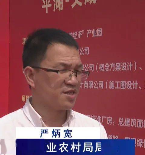 两地联姻平湖文成飞地经济产业园开工