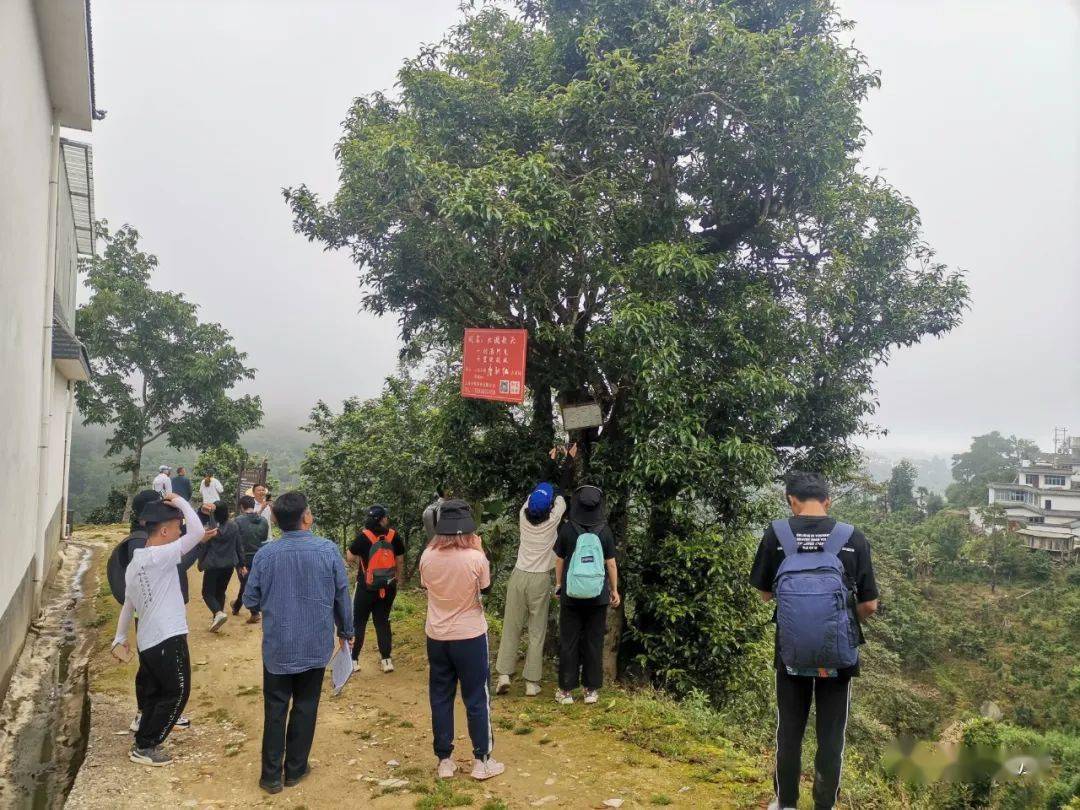 文旅动态专家团队继续深入漭水镇耈街乡开展三大走廊规划调研