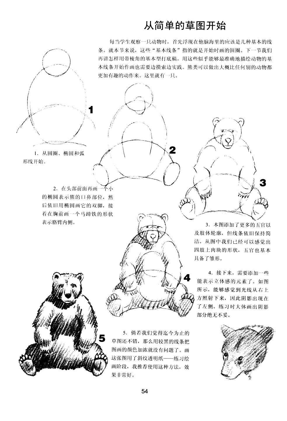 世界绘画经典教程：动物素描-搜狐大视野-搜狐新闻