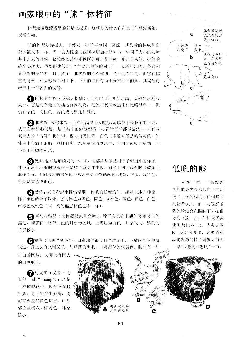 世界绘画经典教程 动物素描 搜狐大视野 搜狐新闻