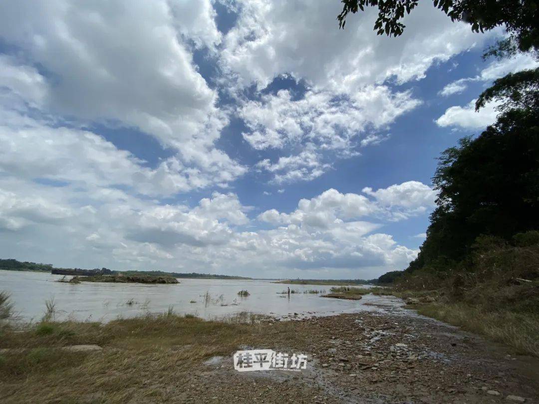 实拍洪水退后的北江桥底,三角咀._桂平