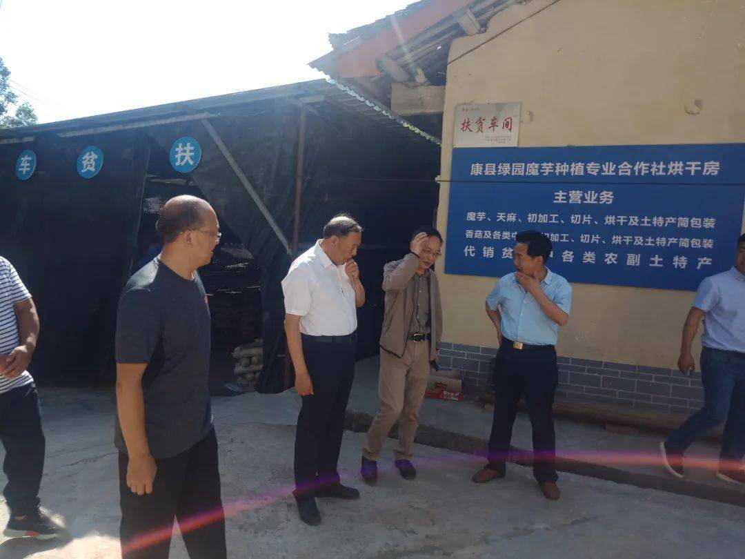 省扶贫办副主任陈宏利陇南市副市长张宏到白杨镇调研脱贫攻坚美丽乡村