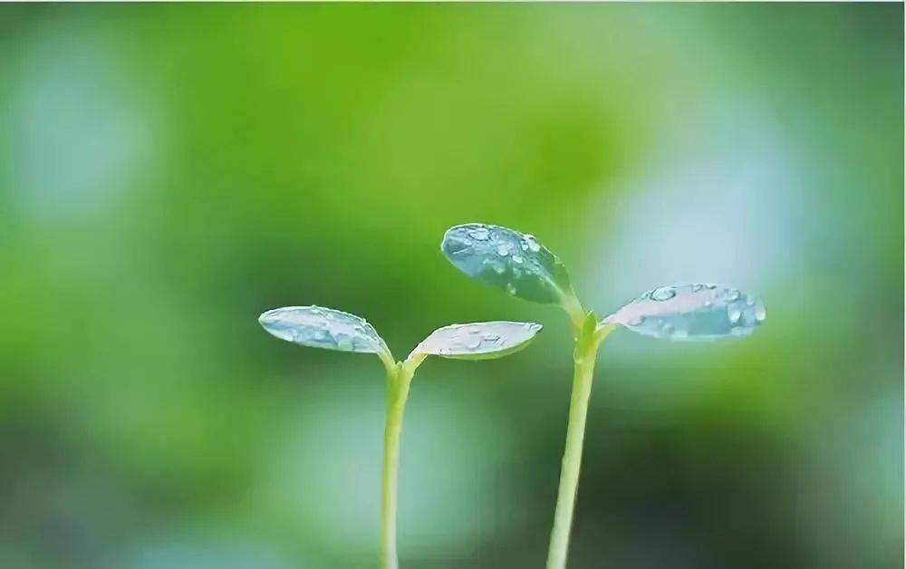 人品好的人都自帶光芒