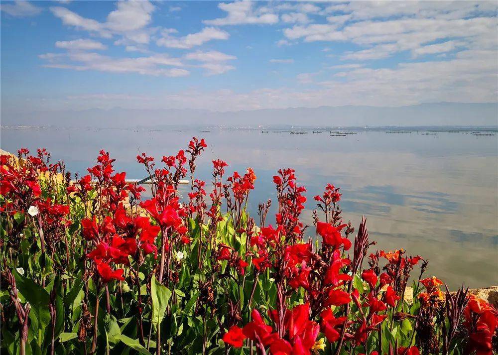 行摄红河丨大屯海长桥海迷人的姐妹海