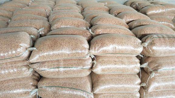 直击全国花生第一大县花生收购现场这价格老农民看了真心酸