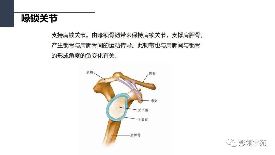 鑑別診斷——肩峰下大結節骨折鈣化性肌腱炎岡上肌鈣化性肌腱炎肩胛下