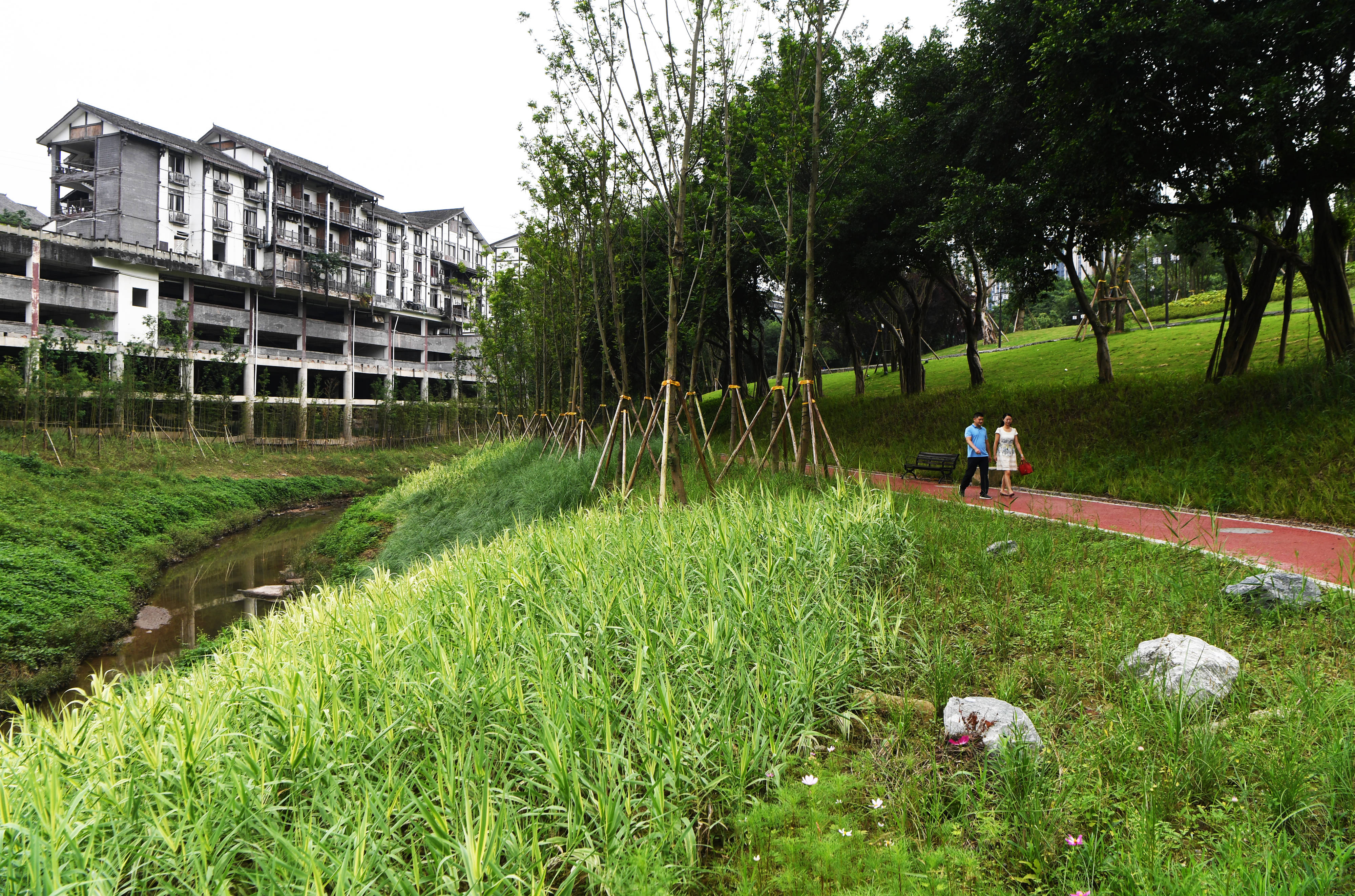 重庆沙坪坝:清水绿岸换新颜