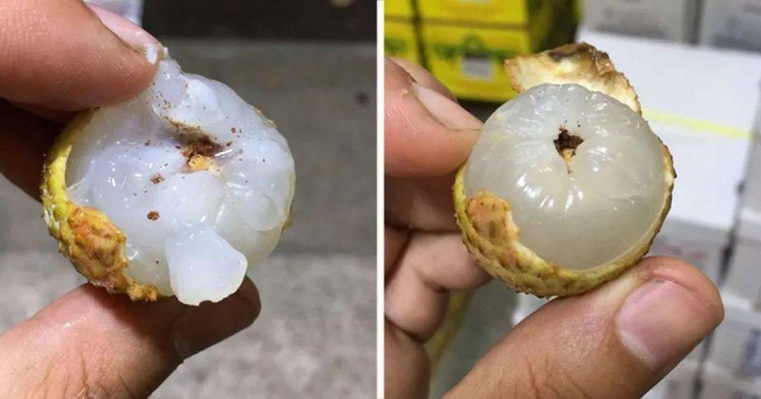 健康莞荔枝长黑点还能吃吗