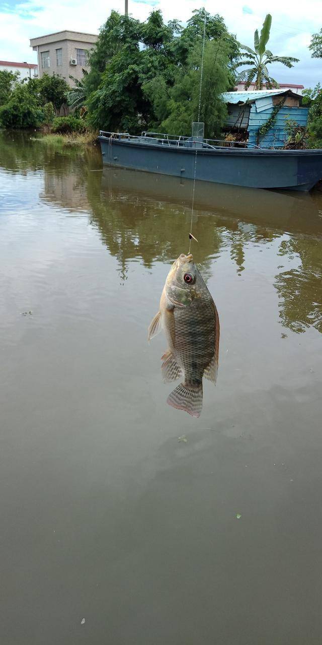 关于路亚白条的一些小技巧新手钓友值得收藏